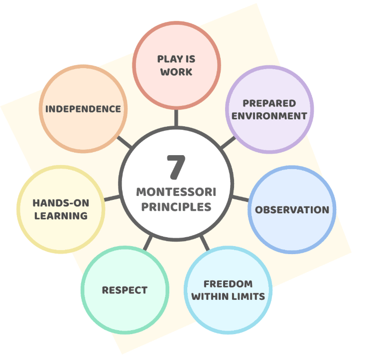 7 principes montessori