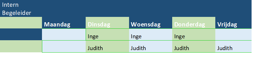 Intern begeleider